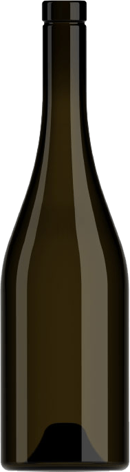 botella